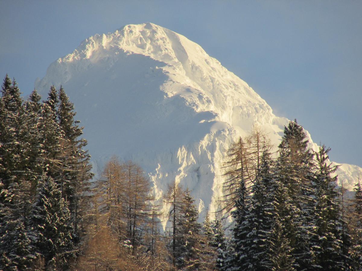 & Glamping Ex Cvet Gora Couette-café Zgornje Jezersko
